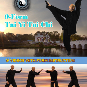 9-Form Tai Yi Tai Chi Videos